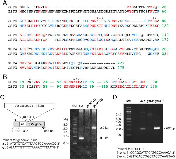 https://cdn.ncbi.nlm.nih.gov/pmc/blobs/eb01/5613964/d2dc4c8a7911/gr3.jpg