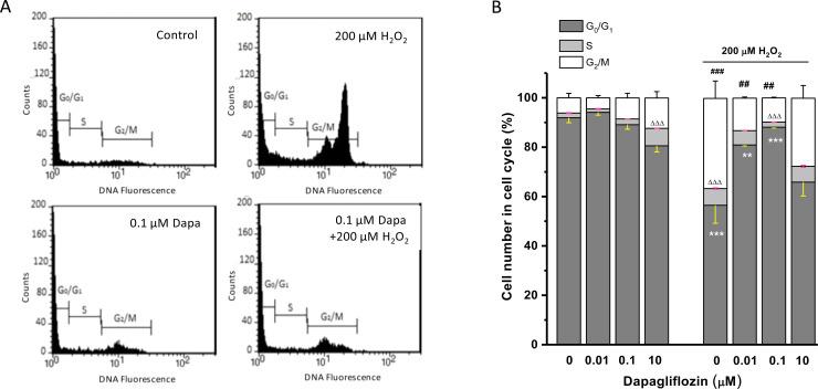 https://cdn.ncbi.nlm.nih.gov/pmc/blobs/eb03/7894948/9c6fc94ce2d0/pone.0247234.g004.jpg