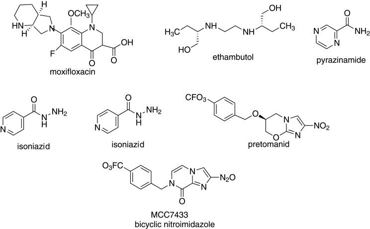 https://cdn.ncbi.nlm.nih.gov/pmc/blobs/eb04/9174711/b81c519c6298/rsos220013f11.jpg