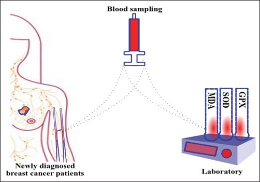 https://cdn.ncbi.nlm.nih.gov/pmc/blobs/eb07/6428542/b3769b2891a5/APJCP-19-3511-g001.jpg