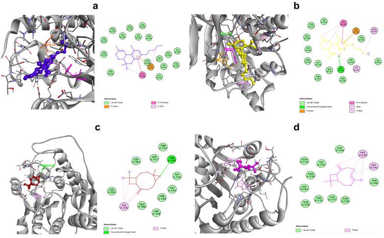 https://cdn.ncbi.nlm.nih.gov/pmc/blobs/eb07/9783378/18180927cbe2/tropicalmed-07-00400-g002.jpg