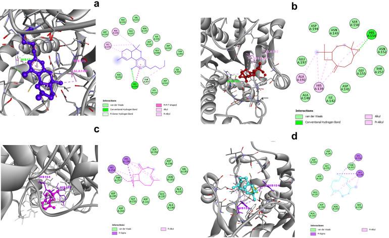 https://cdn.ncbi.nlm.nih.gov/pmc/blobs/eb07/9783378/bcbdd3bcc8b0/tropicalmed-07-00400-g001.jpg