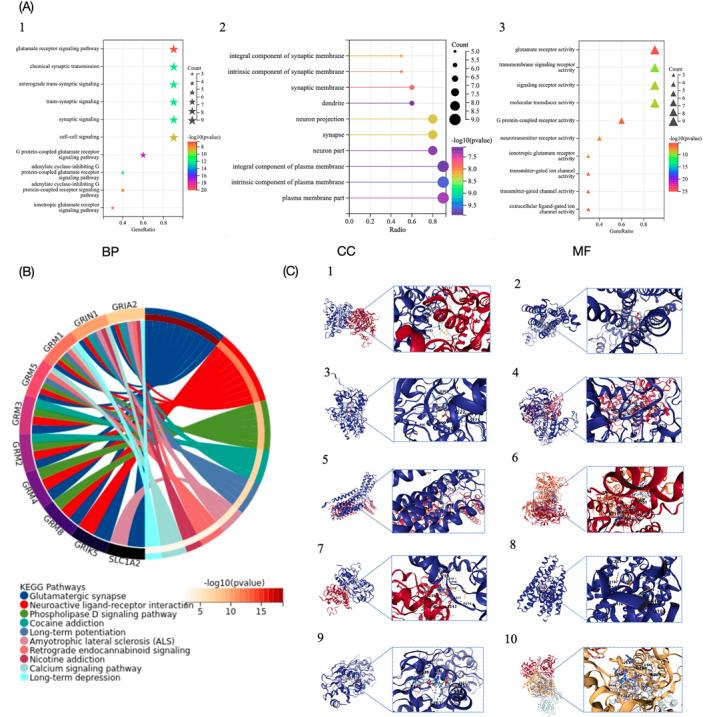 https://cdn.ncbi.nlm.nih.gov/pmc/blobs/eb09/12240684/058ff78d555e/CCS3-19-e70033-g005.jpg
