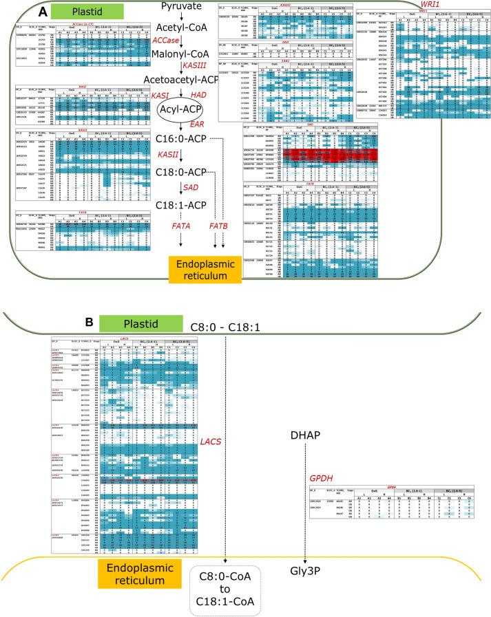 https://cdn.ncbi.nlm.nih.gov/pmc/blobs/eb09/7529811/aefc59b11402/41598_2020_73170_Fig1a_HTML.jpg