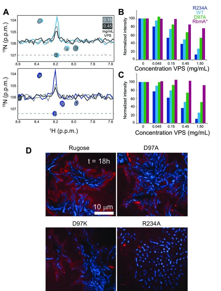 https://cdn.ncbi.nlm.nih.gov/pmc/blobs/eb0a/5605196/b7ada563b156/elife-26163-fig5.jpg