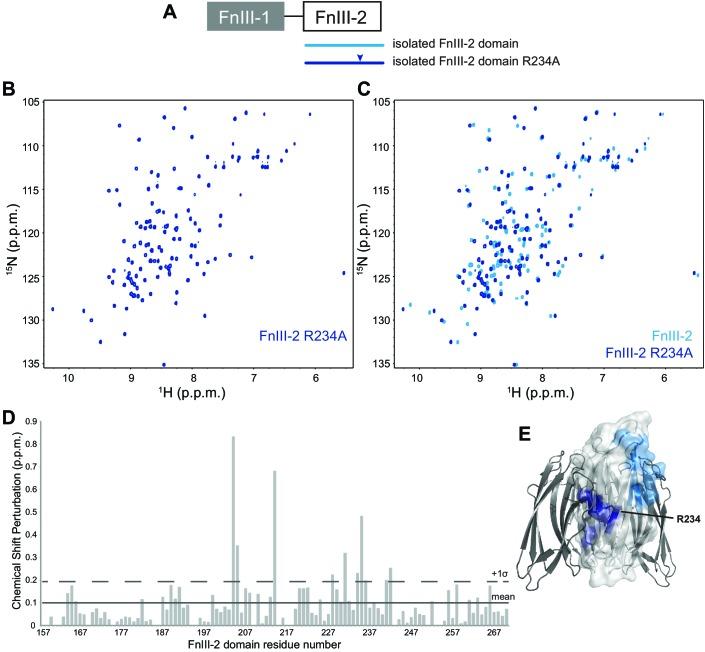 https://cdn.ncbi.nlm.nih.gov/pmc/blobs/eb0a/5605196/dafd5900ed17/elife-26163-fig6-figsupp2.jpg
