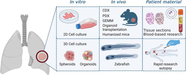 https://cdn.ncbi.nlm.nih.gov/pmc/blobs/eb0b/10893629/a9861a78c471/12943_2024_1953_Fig5_HTML.jpg