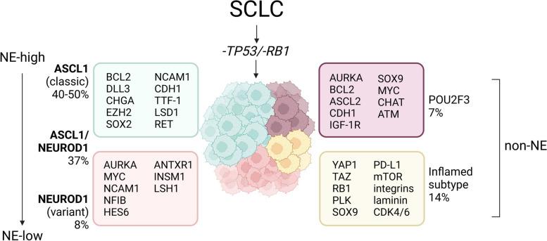 https://cdn.ncbi.nlm.nih.gov/pmc/blobs/eb0b/10893629/be443aa1fcb6/12943_2024_1953_Fig2_HTML.jpg