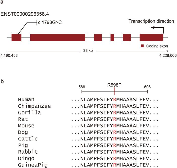 https://cdn.ncbi.nlm.nih.gov/pmc/blobs/eb0c/12380783/8e1d8796d032/fgene-16-1572966-g002.jpg