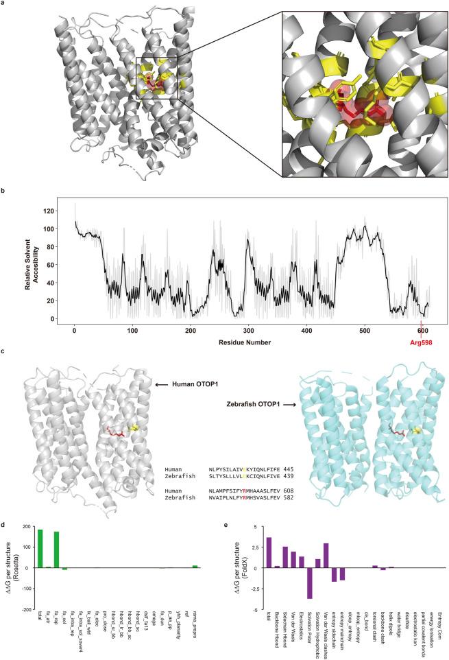 https://cdn.ncbi.nlm.nih.gov/pmc/blobs/eb0c/12380783/c50092911738/fgene-16-1572966-g003.jpg