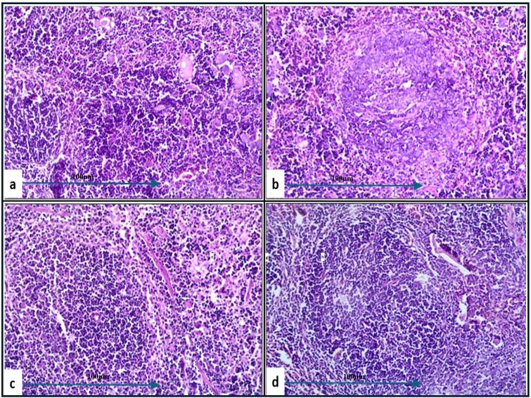 https://cdn.ncbi.nlm.nih.gov/pmc/blobs/eb0d/12052906/5ba020bfa12c/fcimb-15-1493769-g009.jpg