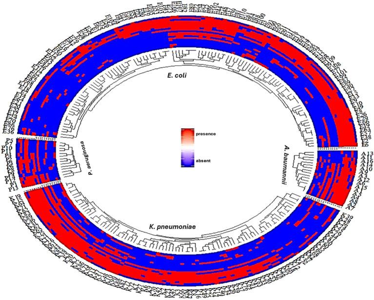 https://cdn.ncbi.nlm.nih.gov/pmc/blobs/eb0d/12052906/7938d407df32/fcimb-15-1493769-g001.jpg