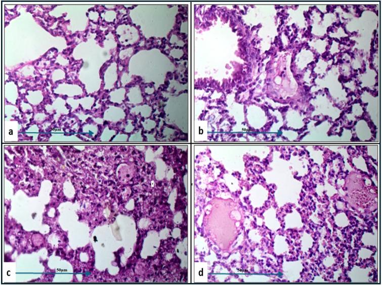 https://cdn.ncbi.nlm.nih.gov/pmc/blobs/eb0d/12052906/d67d1ebeb28c/fcimb-15-1493769-g006.jpg