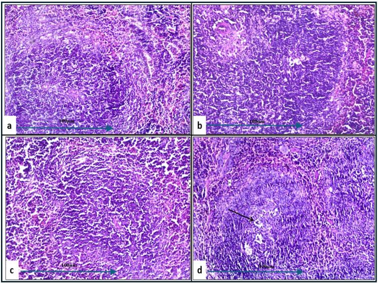 https://cdn.ncbi.nlm.nih.gov/pmc/blobs/eb0d/12052906/f22550213c08/fcimb-15-1493769-g008.jpg