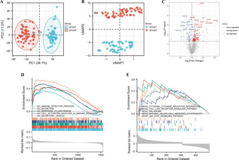 https://cdn.ncbi.nlm.nih.gov/pmc/blobs/eb0f/8842937/2f6bb916138d/12865_2022_479_Fig2_HTML.jpg