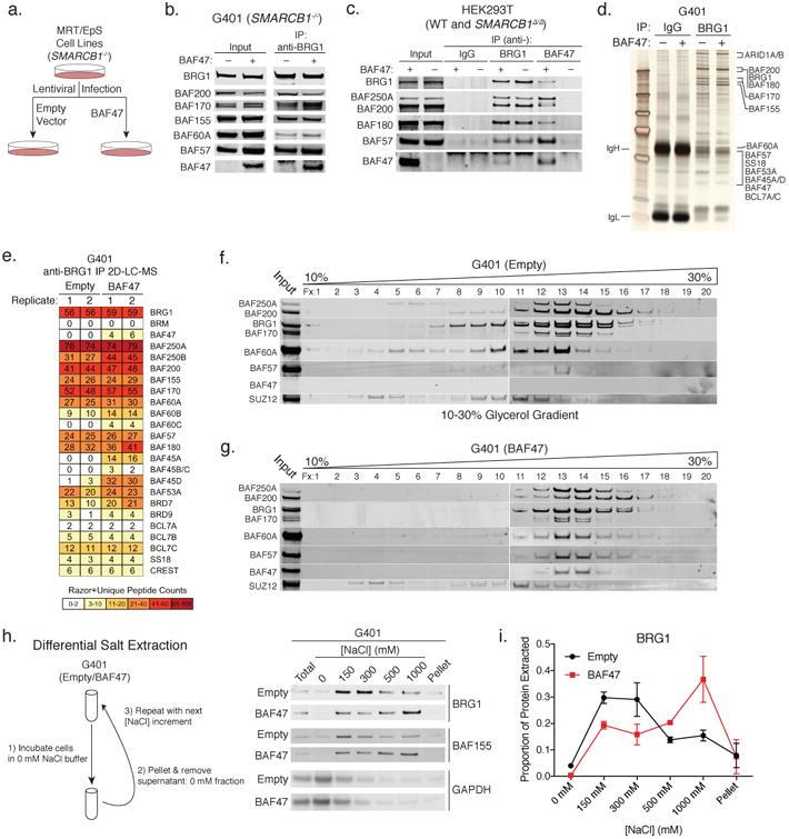 https://cdn.ncbi.nlm.nih.gov/pmc/blobs/eb10/5803080/e1595e3d938b/nihms902931f1.jpg