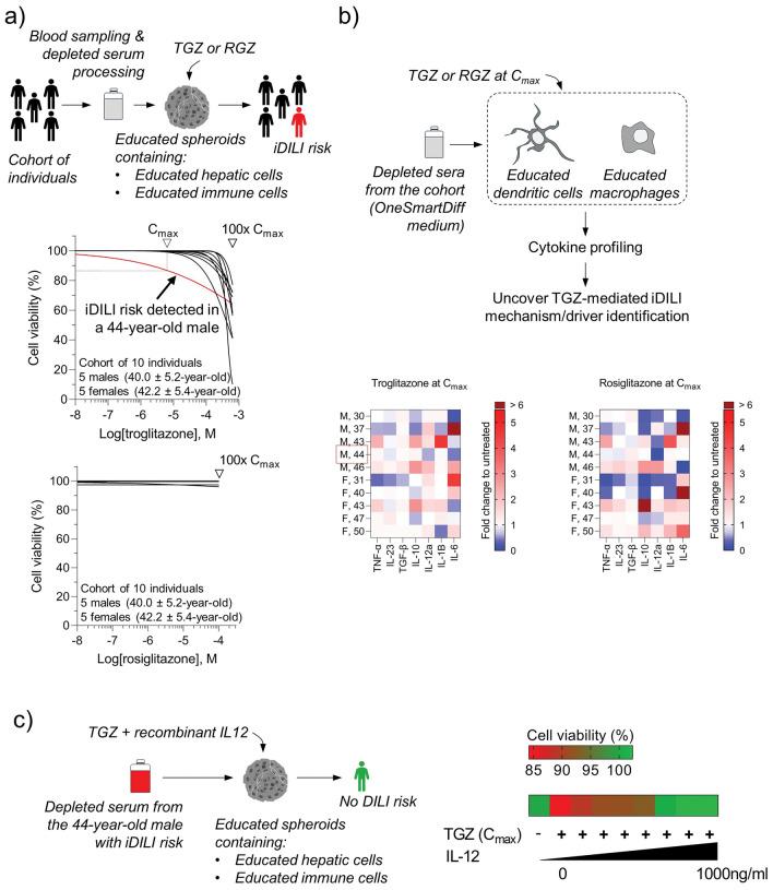 https://cdn.ncbi.nlm.nih.gov/pmc/blobs/eb11/11489277/20f29bd17ded/204_2024_3833_Fig2_HTML.jpg