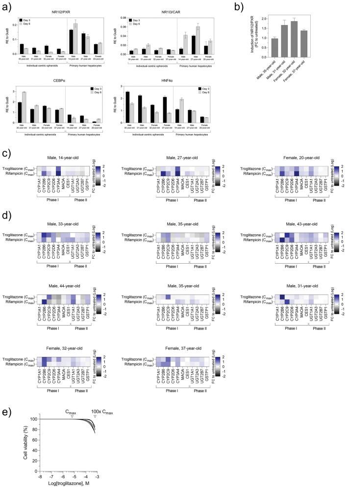 https://cdn.ncbi.nlm.nih.gov/pmc/blobs/eb11/11489277/23bc929dad30/204_2024_3833_Fig1_HTML.jpg