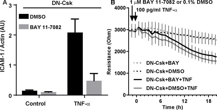 https://cdn.ncbi.nlm.nih.gov/pmc/blobs/eb11/5014308/2402f93dadc6/pone.0161975.g005.jpg