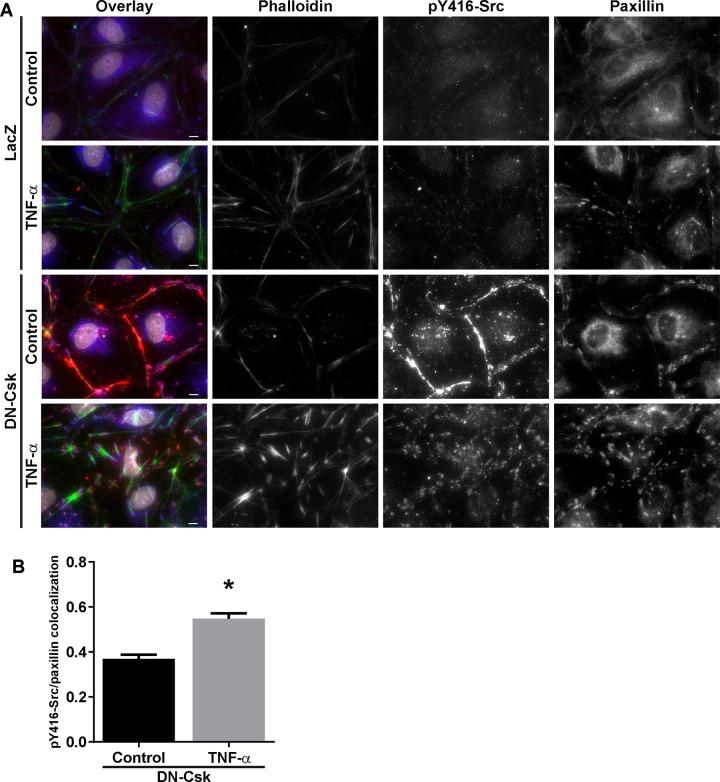 https://cdn.ncbi.nlm.nih.gov/pmc/blobs/eb11/5014308/362d4df7d375/pone.0161975.g003.jpg