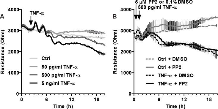 https://cdn.ncbi.nlm.nih.gov/pmc/blobs/eb11/5014308/419d9a542144/pone.0161975.g001.jpg