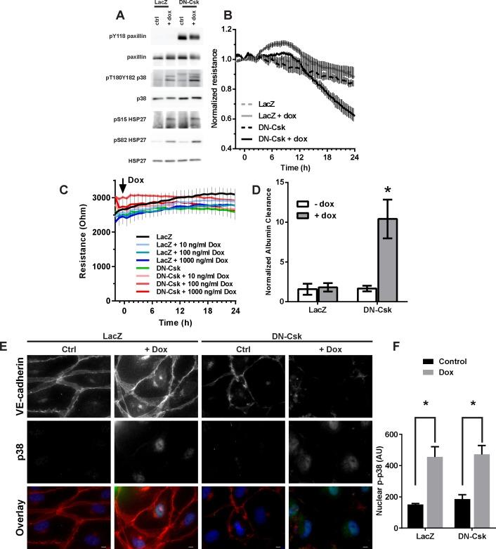 https://cdn.ncbi.nlm.nih.gov/pmc/blobs/eb11/5014308/7f55321e440c/pone.0161975.g007.jpg