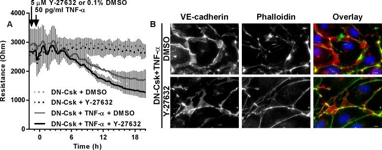 https://cdn.ncbi.nlm.nih.gov/pmc/blobs/eb11/5014308/86fceb964ec1/pone.0161975.g004.jpg
