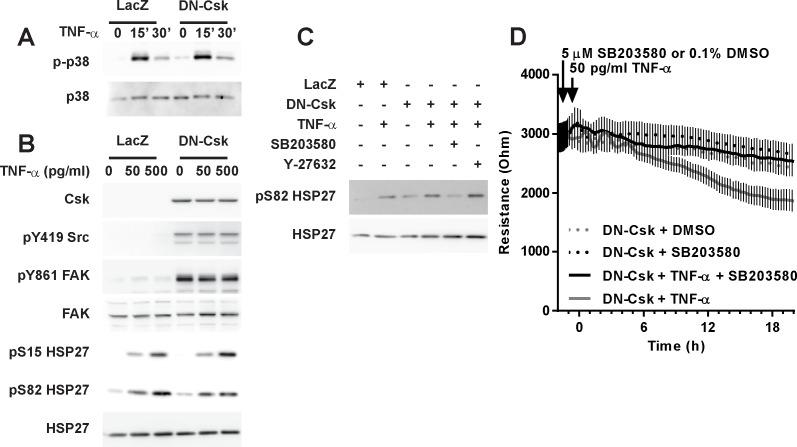 https://cdn.ncbi.nlm.nih.gov/pmc/blobs/eb11/5014308/d6b9c67315b5/pone.0161975.g006.jpg
