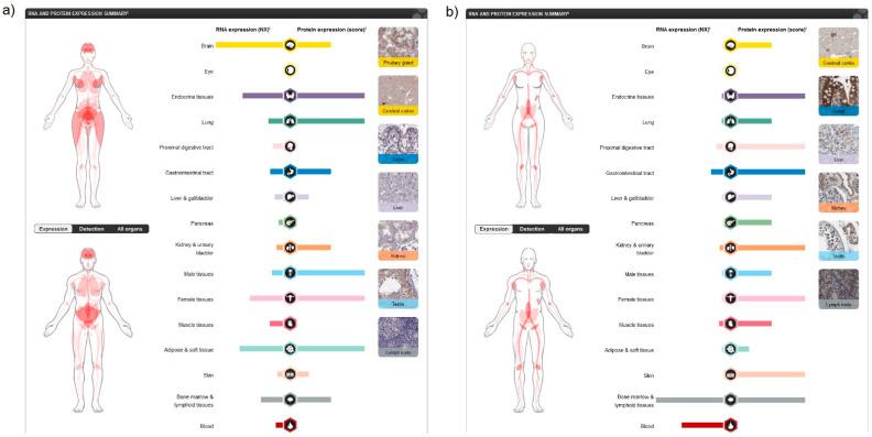 https://cdn.ncbi.nlm.nih.gov/pmc/blobs/eb11/8036872/b4fe7ae104e4/ijms-22-03661-g001.jpg