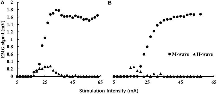 https://cdn.ncbi.nlm.nih.gov/pmc/blobs/eb11/9277460/3ea76653f2e9/fphys-13-890414-g001.jpg