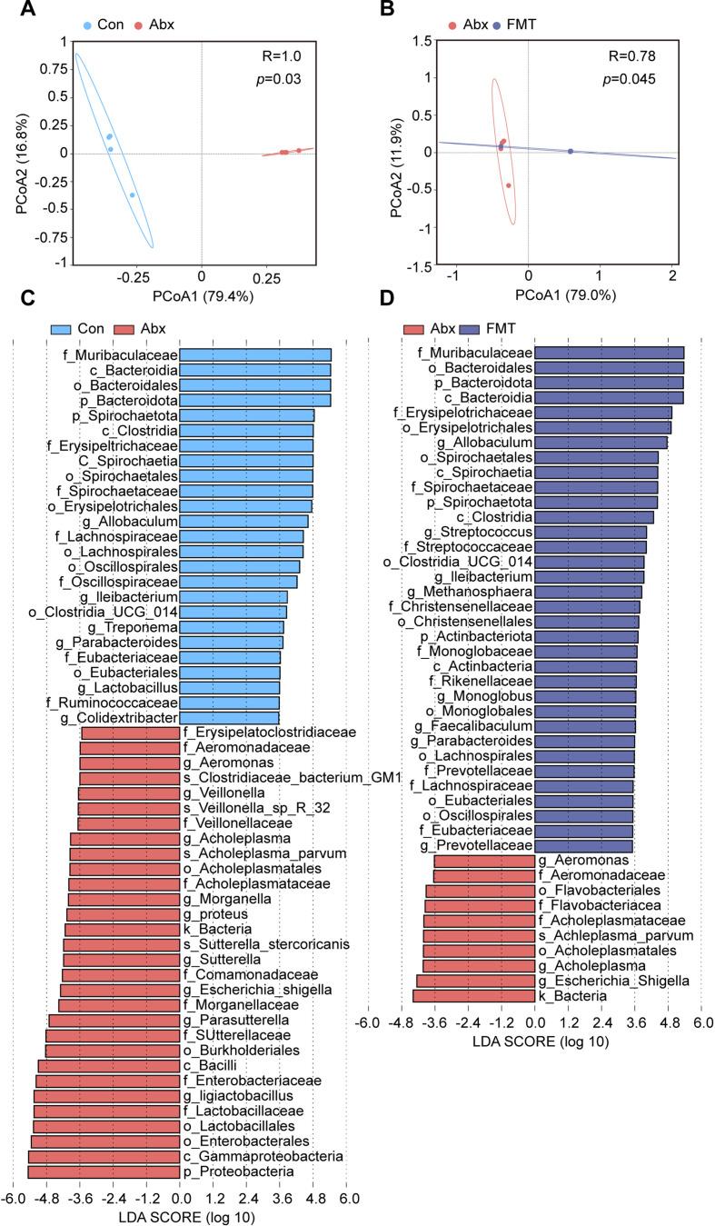https://cdn.ncbi.nlm.nih.gov/pmc/blobs/eb13/11142641/f06599421842/elife-96065-fig5-figsupp1.jpg