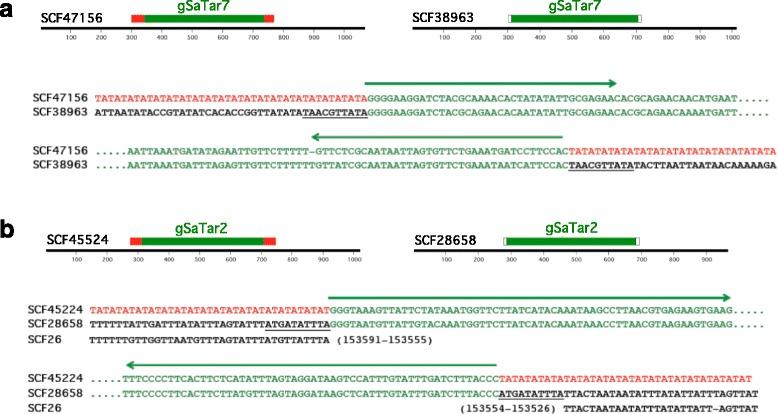 https://cdn.ncbi.nlm.nih.gov/pmc/blobs/eb15/5907723/b90689302662/12864_2018_4653_Fig3_HTML.jpg
