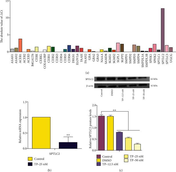https://cdn.ncbi.nlm.nih.gov/pmc/blobs/eb15/9699786/0277b1797c33/DM2022-9119423.002.jpg