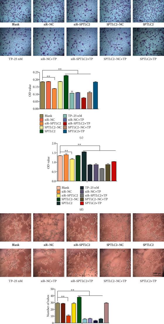 https://cdn.ncbi.nlm.nih.gov/pmc/blobs/eb15/9699786/ac9eb5080d29/DM2022-9119423.003.jpg