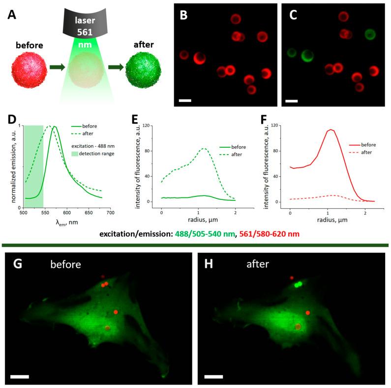https://cdn.ncbi.nlm.nih.gov/pmc/blobs/eb16/10488098/7f876998e482/ijms-24-13665-g002.jpg