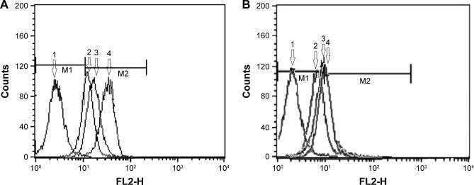 https://cdn.ncbi.nlm.nih.gov/pmc/blobs/eb16/5789074/4e4811cd7272/ijn-13-493Fig4.jpg