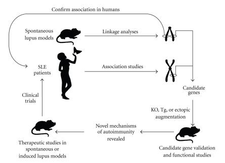 https://cdn.ncbi.nlm.nih.gov/pmc/blobs/eb17/3042628/a8592a9a49c6/JBB2011-271694.001.jpg