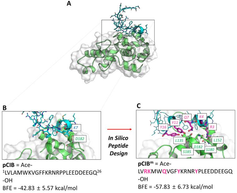 https://cdn.ncbi.nlm.nih.gov/pmc/blobs/eb18/9369275/2593cb3a1ef9/ijms-23-08688-g005.jpg