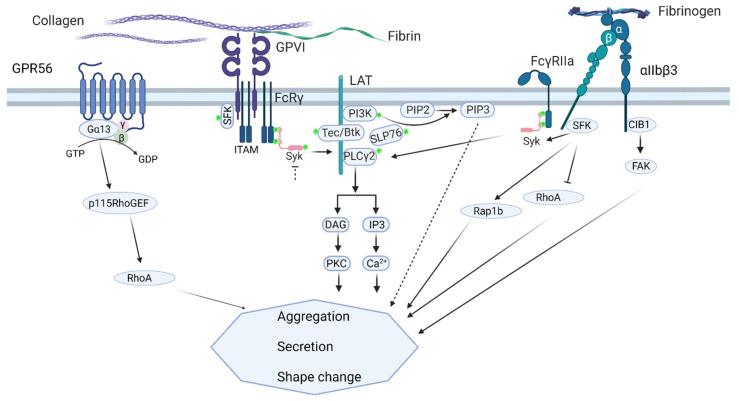 https://cdn.ncbi.nlm.nih.gov/pmc/blobs/eb18/9369275/661eab800fa8/ijms-23-08688-g009.jpg