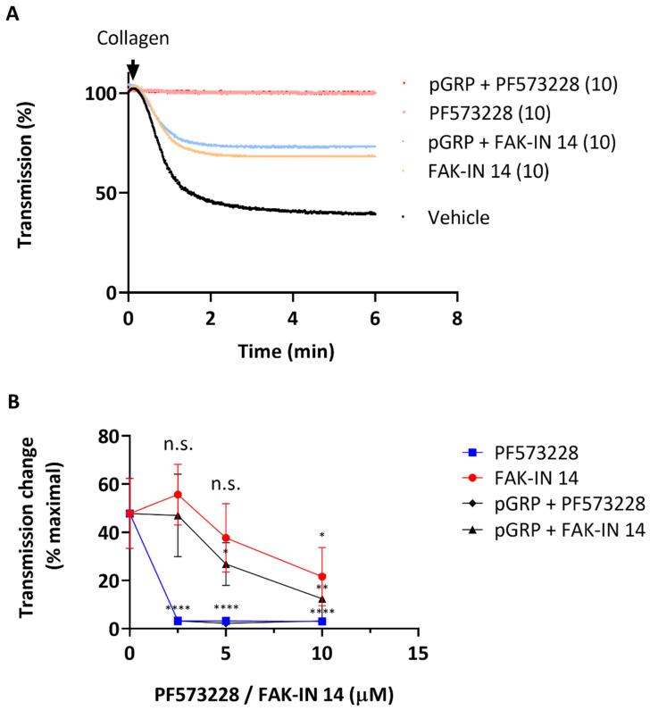 https://cdn.ncbi.nlm.nih.gov/pmc/blobs/eb18/9369275/fd0bd91fe5d4/ijms-23-08688-g002.jpg