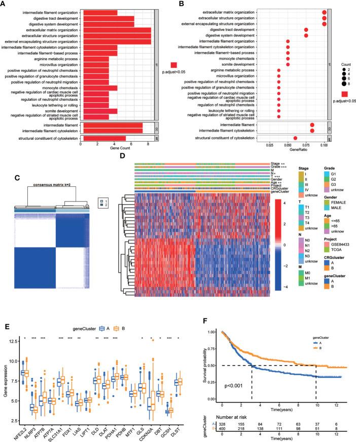 https://cdn.ncbi.nlm.nih.gov/pmc/blobs/eb18/9719959/2fca5ab84541/fimmu-13-1056932-g005.jpg