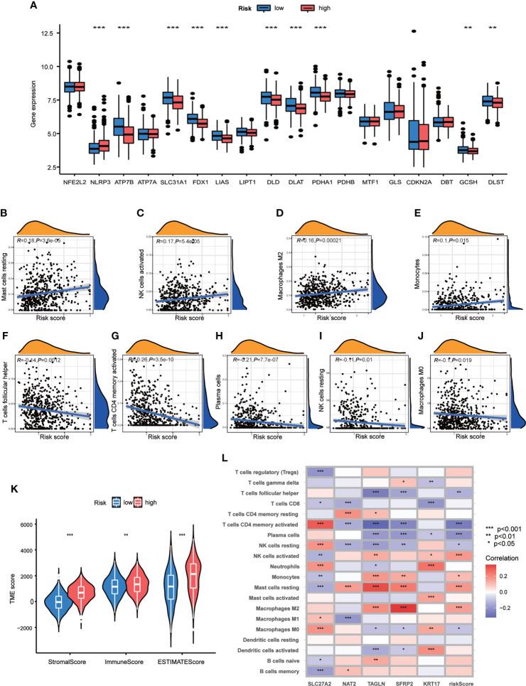 https://cdn.ncbi.nlm.nih.gov/pmc/blobs/eb18/9719959/52a2e28949dd/fimmu-13-1056932-g007.jpg