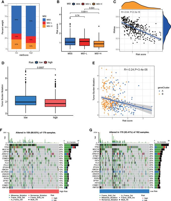 https://cdn.ncbi.nlm.nih.gov/pmc/blobs/eb18/9719959/7b62cb2b45da/fimmu-13-1056932-g008.jpg