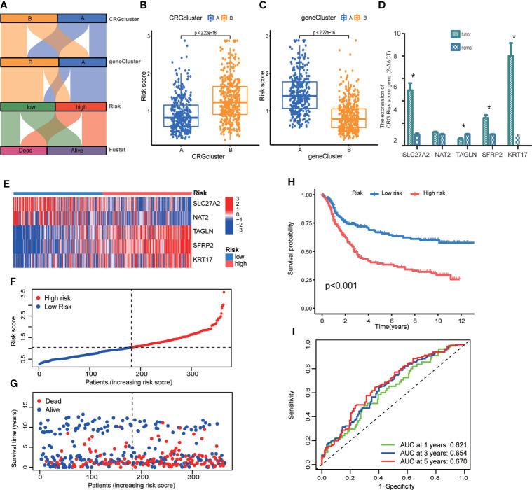 https://cdn.ncbi.nlm.nih.gov/pmc/blobs/eb18/9719959/8fb09b6b2301/fimmu-13-1056932-g006.jpg