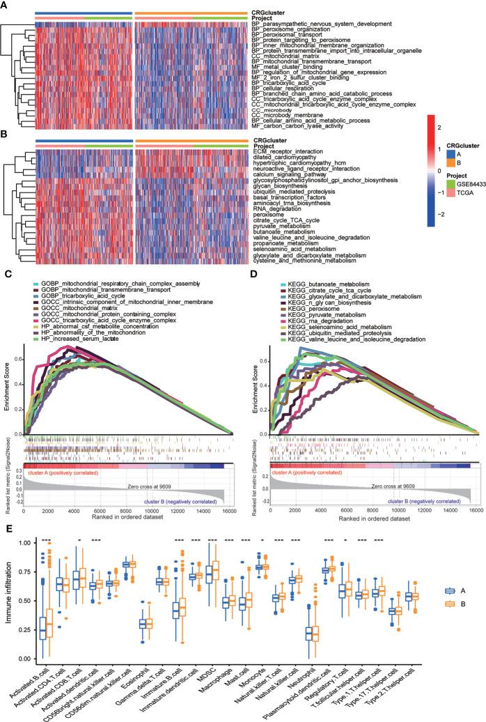 https://cdn.ncbi.nlm.nih.gov/pmc/blobs/eb18/9719959/a567d7344051/fimmu-13-1056932-g004.jpg