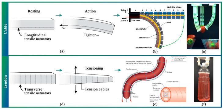 https://cdn.ncbi.nlm.nih.gov/pmc/blobs/eb1a/10537409/a4e37f9397cc/sensors-23-07905-g002.jpg
