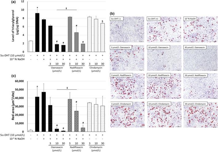 https://cdn.ncbi.nlm.nih.gov/pmc/blobs/eb1a/11483923/887939721a01/JDE-51--g004.jpg