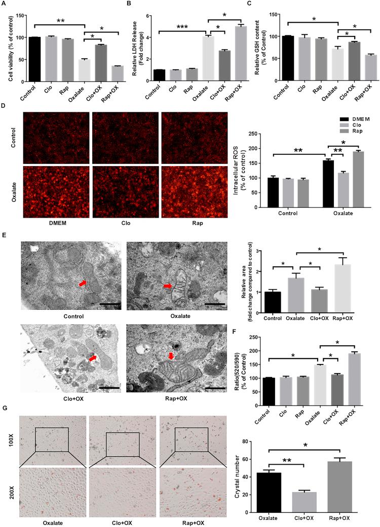 https://cdn.ncbi.nlm.nih.gov/pmc/blobs/eb1c/5953241/36929b6f24fc/gr3.jpg