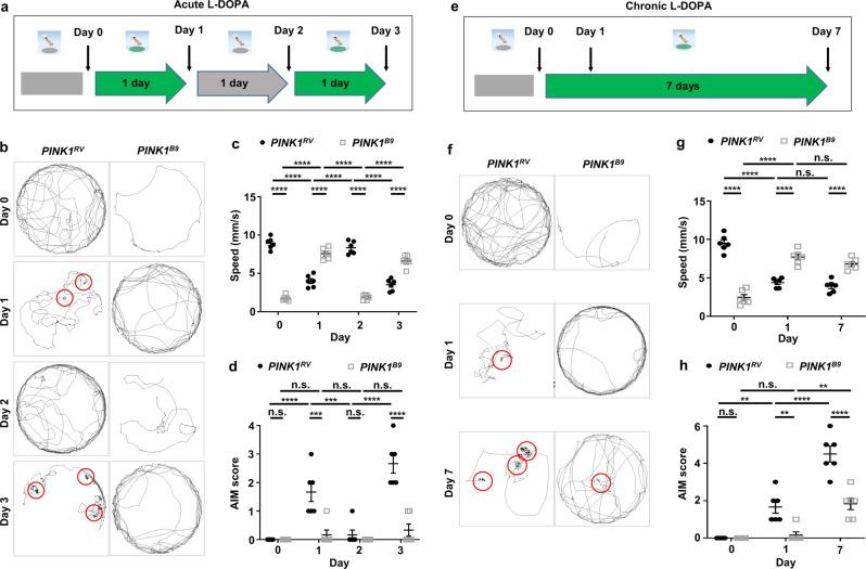https://cdn.ncbi.nlm.nih.gov/pmc/blobs/eb1f/9411113/7f32d5f0a51c/42003_2022_3830_Fig3_HTML.jpg