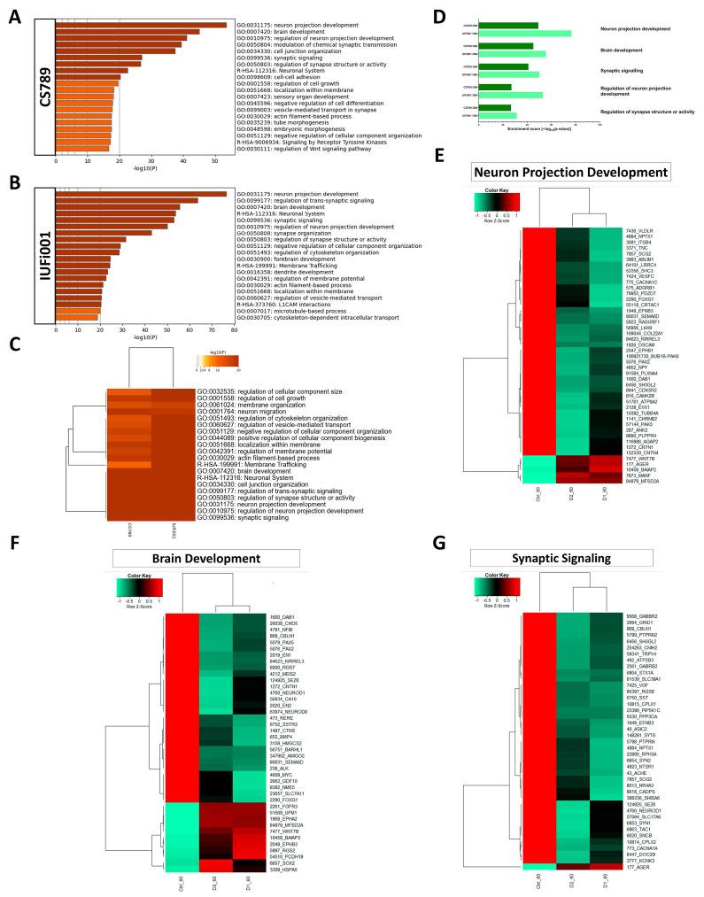 https://cdn.ncbi.nlm.nih.gov/pmc/blobs/eb20/11011893/795c485114b5/cells-13-00591-g006.jpg